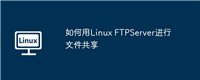 如何用Linux FTPServer进行文件共享
