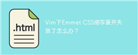 Vim下Emmet CSS缩写展开失效了怎么办？