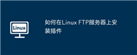 如何在Linux FTP服务器上安装插件