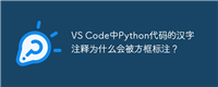 VS Code中Python代码的汉字注释为什么会被方框标注?