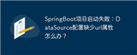 SpringBoot项目启动失败：DataSource配置缺少url属性怎么办？