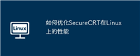 如何优化SecureCRT在Linux上的性能