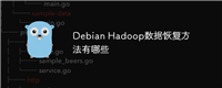 Debian Hadoop数据恢复方法有哪些
