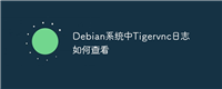 Debian系统中Tigervnc日志如何查看