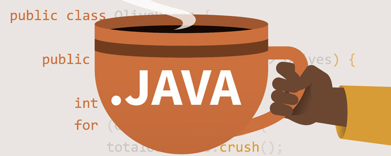 java是软件吗?