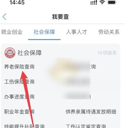 河北人社app如何查询保龄 河北人社查养老保险教程