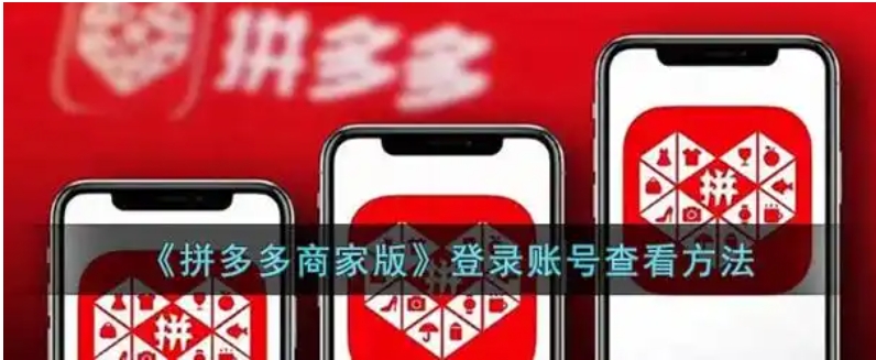拼多多商家网页版入口在哪?手机怎么登录?