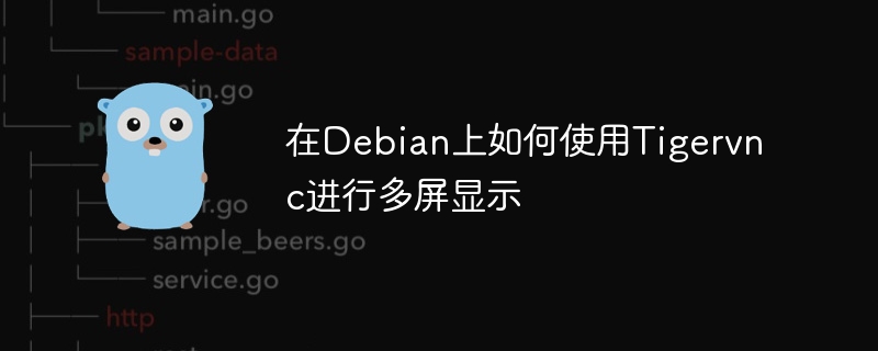 在debian上如何使用tigervnc进行多屏显示
