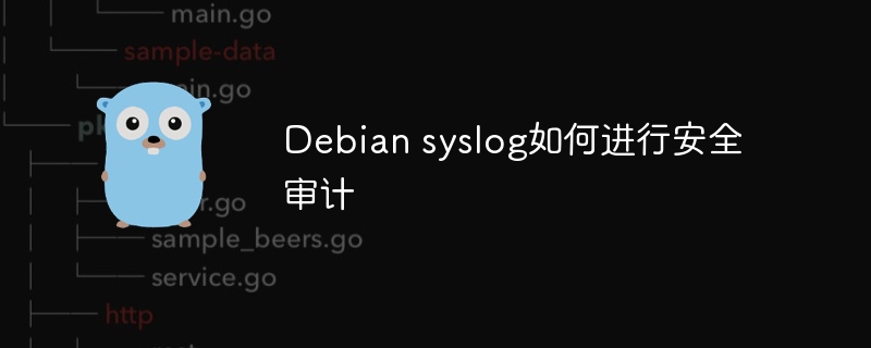 debian syslog如何进行安全审计