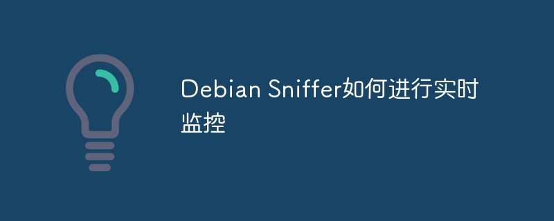 debian sniffer如何进行实时监控