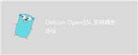 Debian OpenSSL支持哪些协议