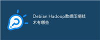 Debian Hadoop数据压缩技术有哪些
