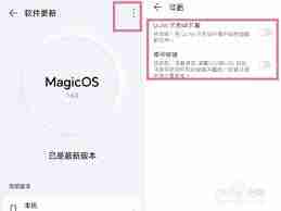 荣耀magicvs3怎么关闭自动更新_荣耀magicvs3自动更新关闭方法介绍
