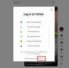 tiktok轻量版网页版怎么登录-哪里有tiktok轻量版网页版登录入口
