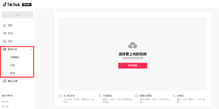 tiktok轻量版网页版怎么登录-哪里有tiktok轻量版网页版登录入口
