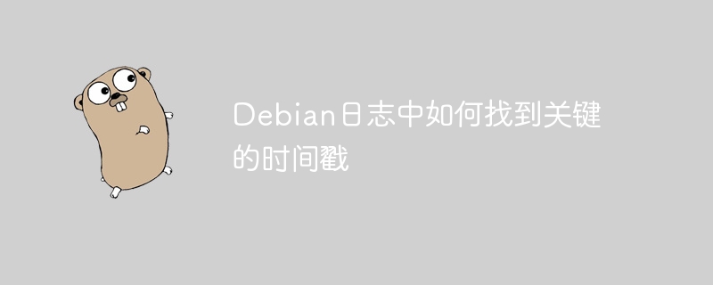 debian日志中如何找到关键的时间戳
