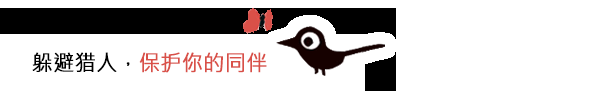 可爱风格休闲探索冒险游戏《koira》现已正式发售 获得好评