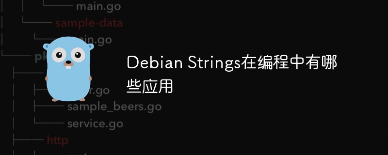 debian strings在编程中有哪些应用