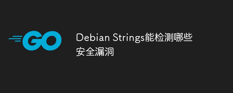 debian strings能检测哪些安全漏洞