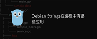 Debian Strings在编程中有哪些应用