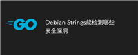 Debian Strings能检测哪些安全漏洞