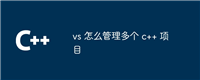 vs 怎么管理多个 c++ 项目