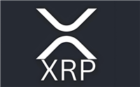 有多少人拥有 XRP？XRP 富豪榜一览（2025）
