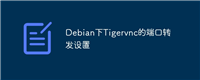 Debian下Tigervnc的端口转发设置