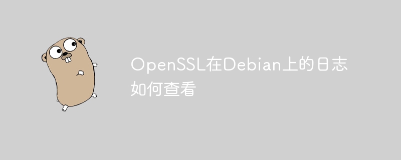 openssl在debian上的日志如何查看