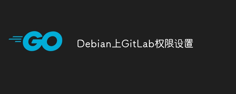 debian上gitlab权限设置