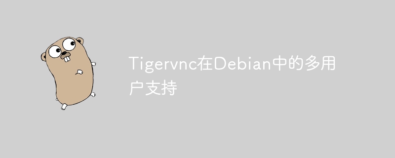 tigervnc在debian中的多用户支持