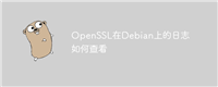 OpenSSL在Debian上的日志如何查看