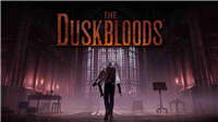 宫崎英高新作《The Duskbloods》首批截图 Switch 2独占