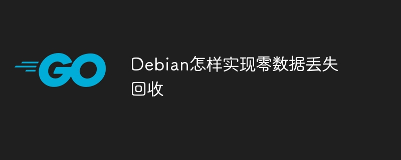 debian怎样实现零数据丢失回收