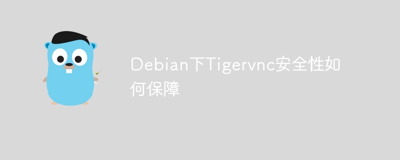 debian下tigervnc安全性如何保障