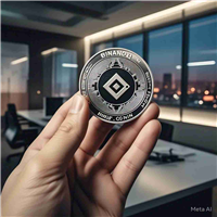 导航加密十字路口 -  BNB的看跌困境和Binofi的上升诺言