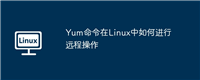 Yum命令在Linux中如何进行远程操作