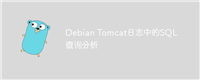 Debian Tomcat日志中的SQL查询分析