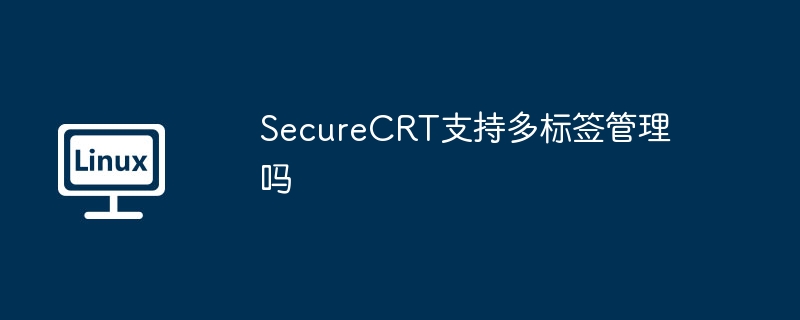 securecrt支持多标签管理吗