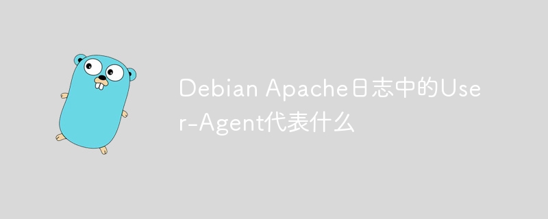 debian apache日志中的user-agent代表什么