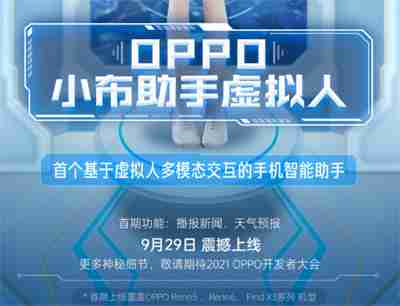 oppo小布助手支持什么机型