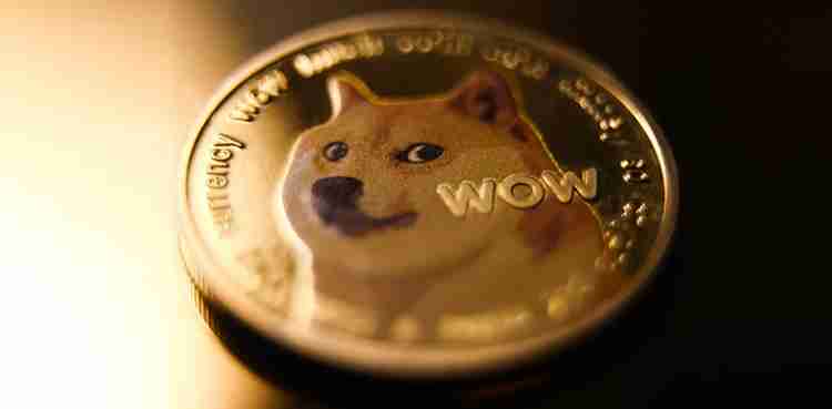 pkr中的dogecoin（doge）价格
