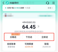 2025最全还款攻略:抖音月付有几种还款方式?有7种!图文详解