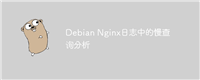 Debian Nginx日志中的慢查询分析