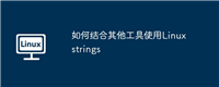 如何结合其他工具使用Linux strings