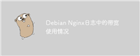 Debian Nginx日志中的带宽使用情况