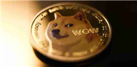 PKR中的Dogecoin(Doge)价格