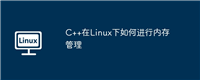 C++在Linux下如何进行内存管理