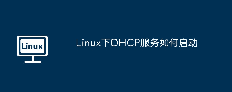 linux下dhcp服务如何启动