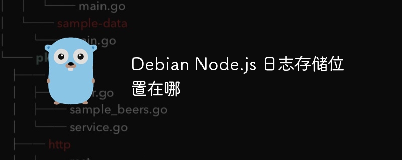 debian node.js 日志存储位置在哪
